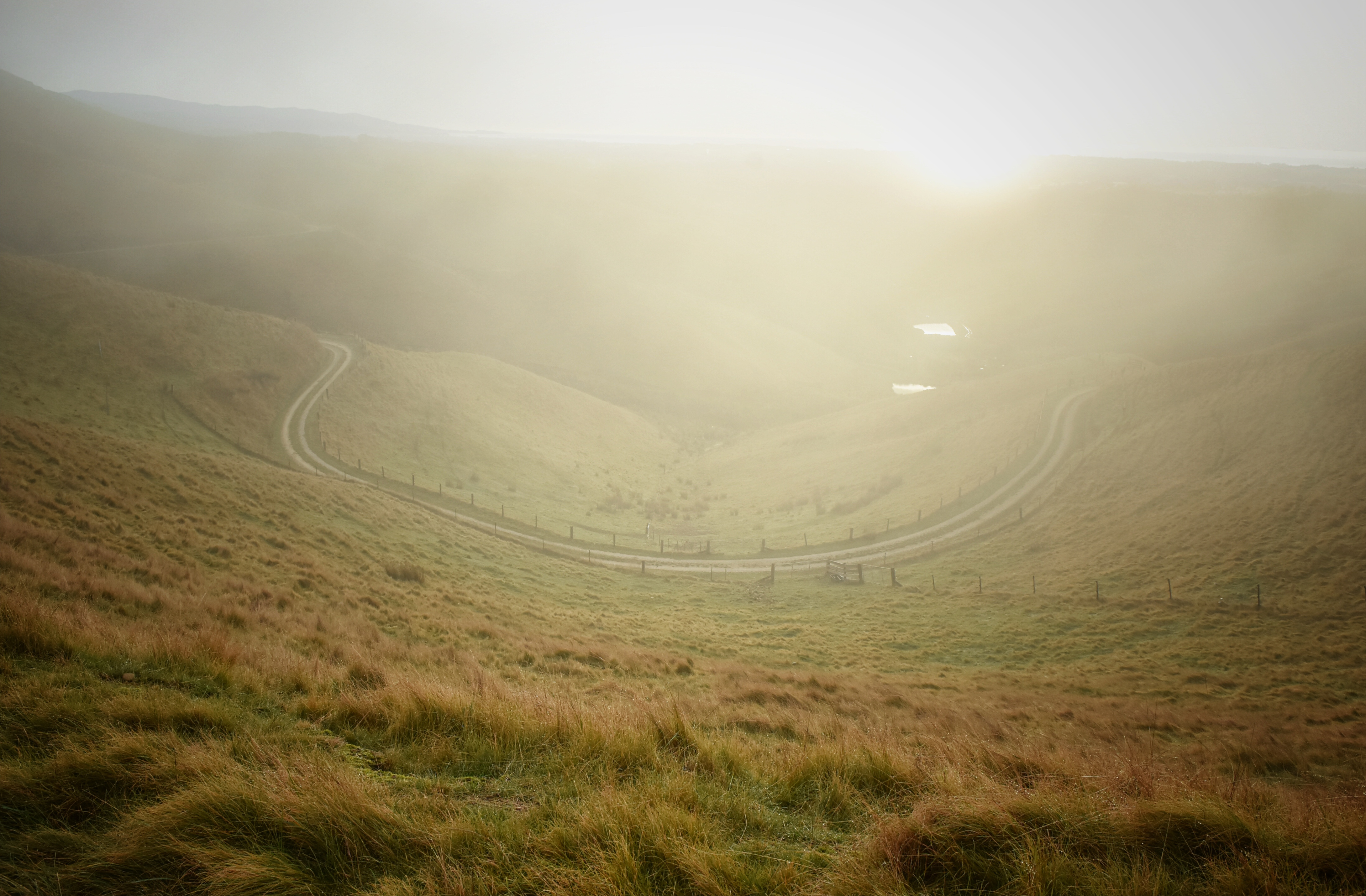 The driveway in fog