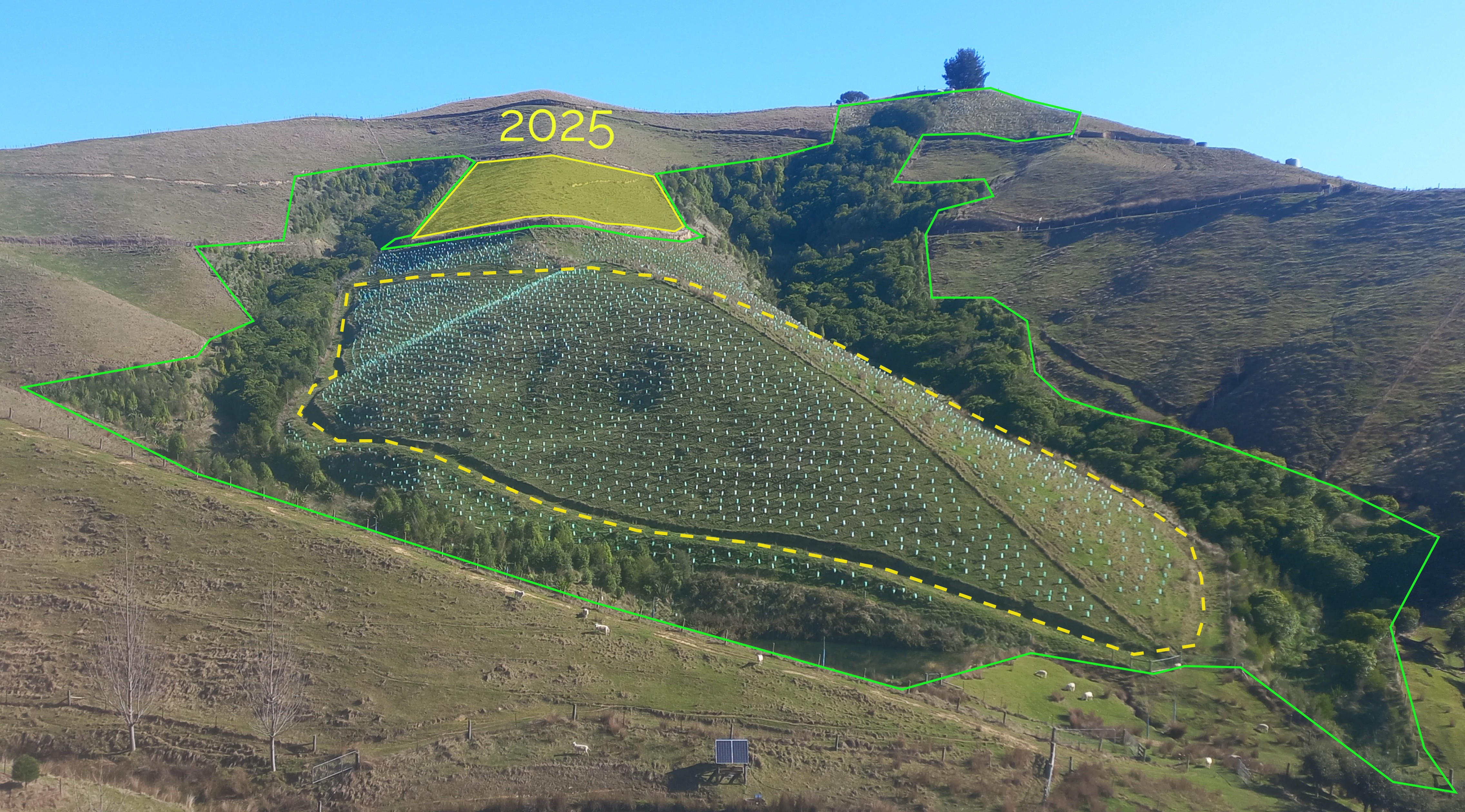 2024 plantings from a distance